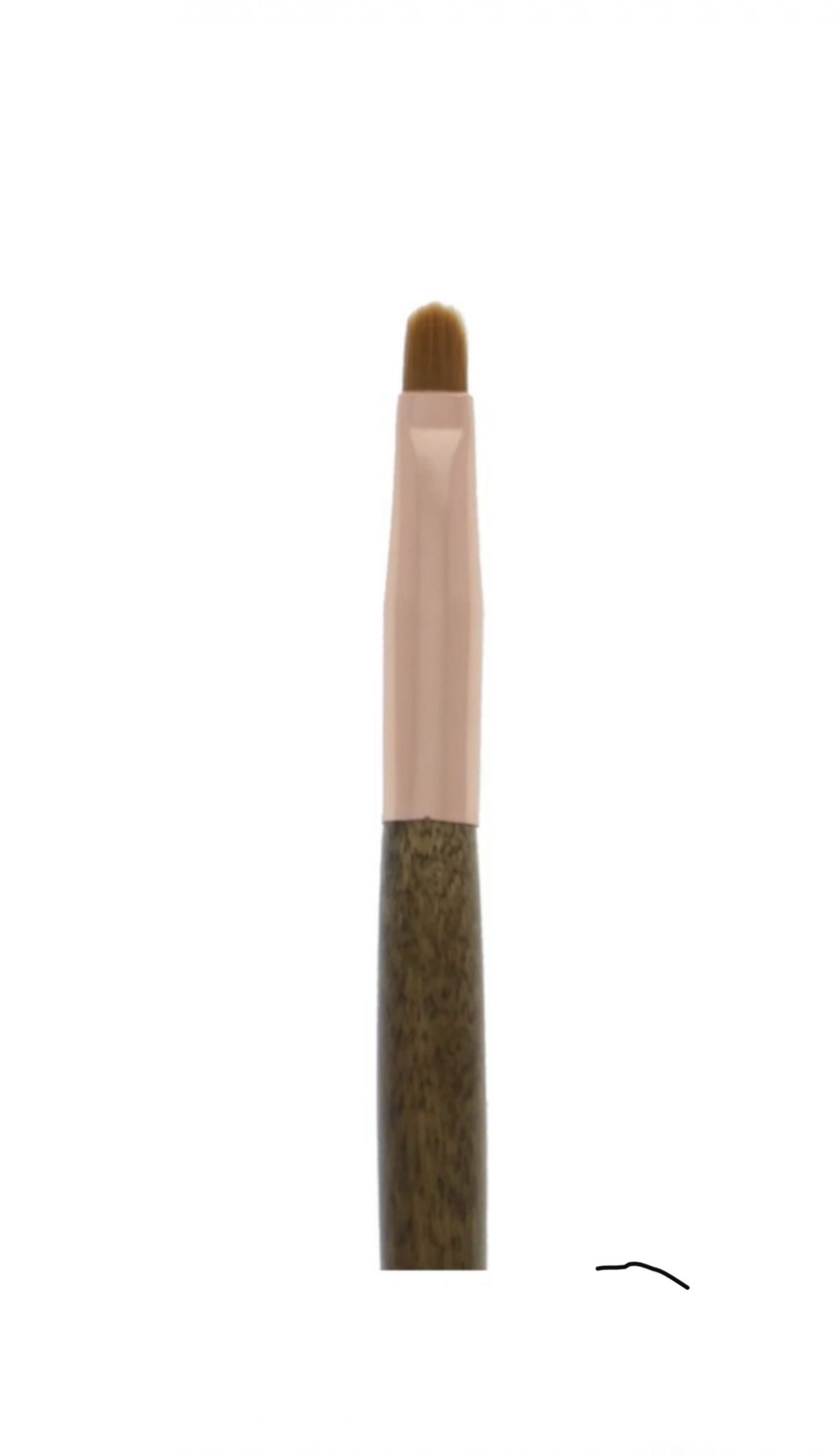 cosmetic brush